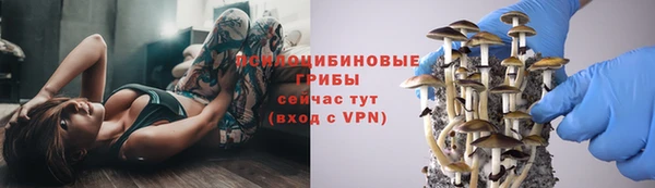 герыч Алзамай