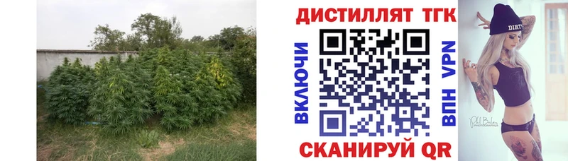 ТГК Wax  Анапа 